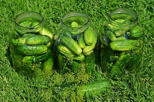 宝宝吃黄瓜泥需要去皮吗？